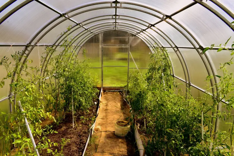 枣庄中兴翰明房产住宅项目施工技术标准与质量管控体系解析封面图